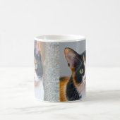 Calico Cat Kaffeetasse (Mittel)