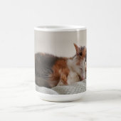 Calico Cat Kaffeetasse (Mittel)