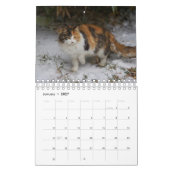 Calico Cat Kalender (Jan 2027)