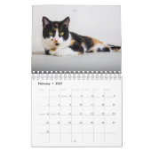 Calico Cat Kalender (Feb 2027)