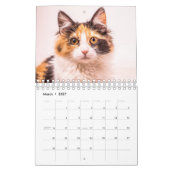Calico Cat Kalender (Mär 2027)