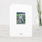 Calico Cat Karte (Rückseite)