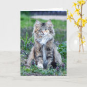 Calico Cat Karte (Gelbe Blume)