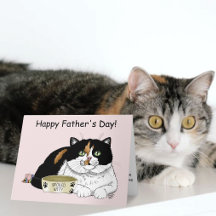 Calico Cat