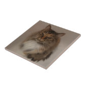 Calico Cat Keramik Tile Fliese (Seite)