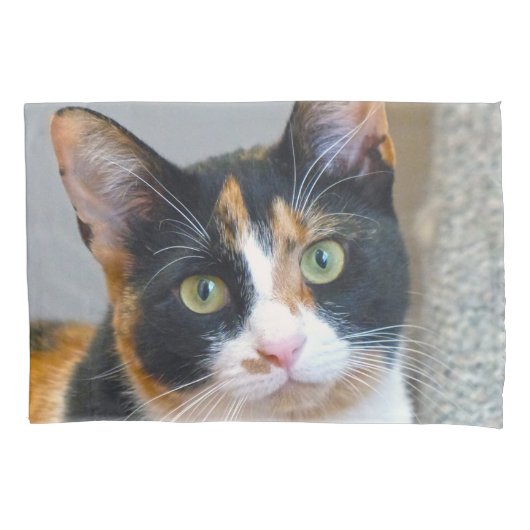 Calico Cat Kissenbezug (Vorderseite)