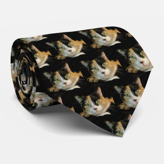 Calico Cat Krawatte (Gerollt)