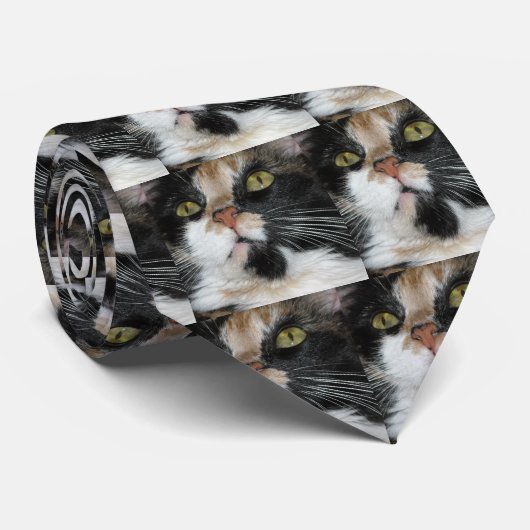 Calico Cat Krawatte (Gerollt)