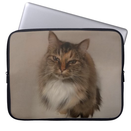 Calico Cat Laptop Sleeve (Vorderseite)