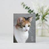 Calico Cat Liebe Postkarte (Stehend Vorderseite)