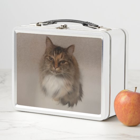Calico Cat Lunch Box (Beispiel)