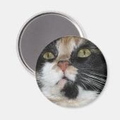 Calico Cat Magnet (Vorderseite/Rückseite)