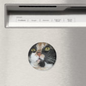Calico Cat Magnet (In Situ (Geschirrspüler))