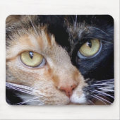 Calico Cat Mousepad (Vorne)