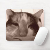 Calico Cat Mousepad (Mit Mouse)
