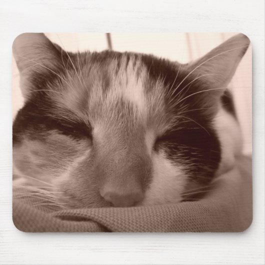 Calico Cat Mousepad (Vorne)