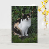 Calico Cat Note Karte (Gelbe Blume)