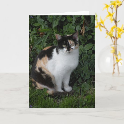 Calico Cat Note Karte (Gelbe Blume)