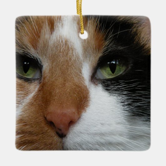 Calico Cat Ornament (Vorderseite)