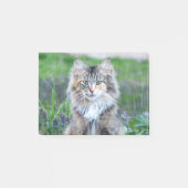Calico Cat Post-it Klebezettel (Vorderseite)