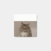 Calico Cat Post it Notes Post-it Klebezettel (Vorderseite)