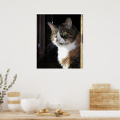Calico Cat Poster (Küche)