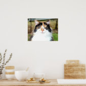 Calico Cat Poster (Küche)