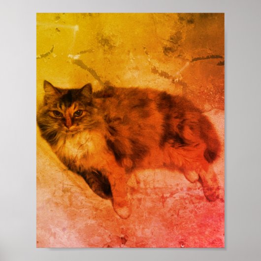 Calico Cat Poster (Vorne)