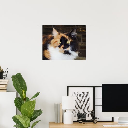 Calico Cat Poster (Heimbüro)
