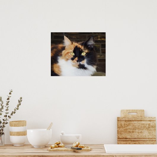 Calico Cat Poster (Küche)