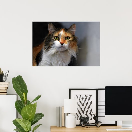 Calico Cat Poster (Heimbüro)