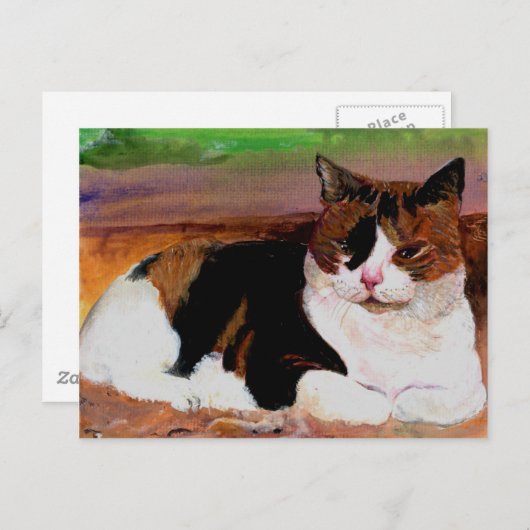 Calico Cat Postkarte (Vorne/Hinten)
