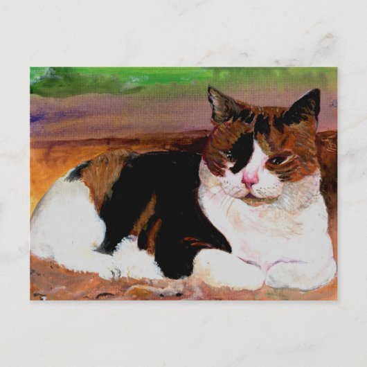 Calico Cat Postkarte (Vorderseite)