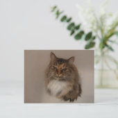 Calico Cat Postkarte (Stehend Vorderseite)