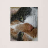 Calico Cat Puzzle (Vertikal)