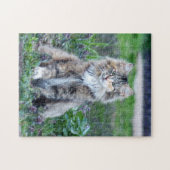 Calico Cat Puzzle (Horizontal)