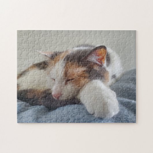 Calico Cat Puzzle (Horizontal)