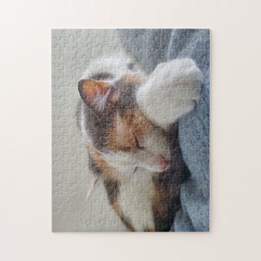 Calico Cat Puzzle (Vertikal)