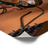 Calico Cat Rocker Poster (Ecke)