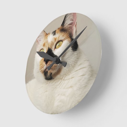 Calico Cat Runde Wanduhr (Winkel)