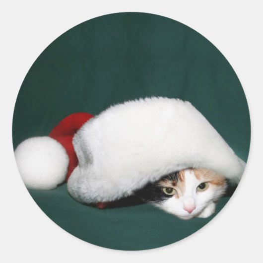 Calico cat Santa Aufkleber (Vorderseite)