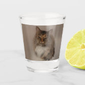 Calico Cat Shot Glass Schnapsglas (Vorderseite)