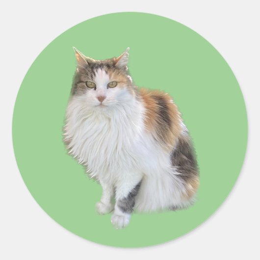 Calico Cat Sticker (Vorderseite)