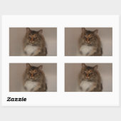 Calico Cat Stickers (Blatt)