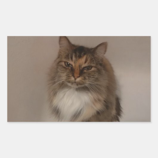 Calico Cat Stickers (Vorderseite)