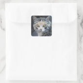 Calico Cat Stickers (Tasche)