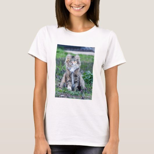 Calico Cat T-Shirt (Vorderseite)