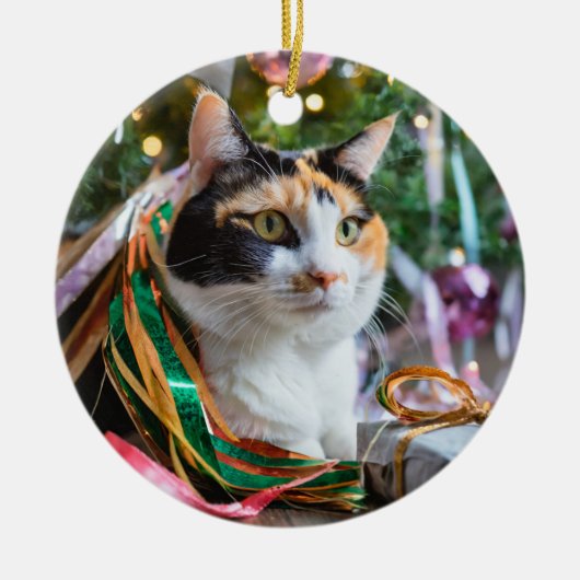 Calico Cat Unter einem Weihnachtsbaum Ornament (Vorne)