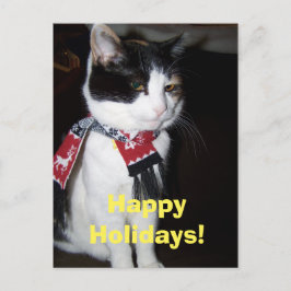 Calico Cat Wearing Scarf Happy Halidays Postcard Feiertagspostkarte