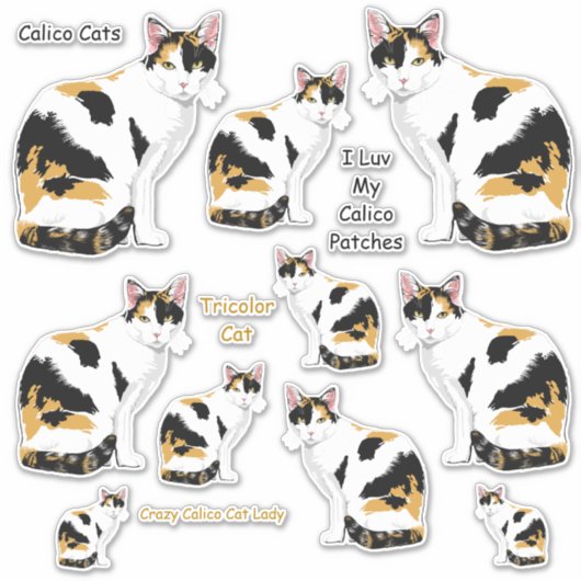 Calico Cats Lg Sticker Set (Vorderseite)